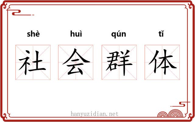 社会群体 社会群体