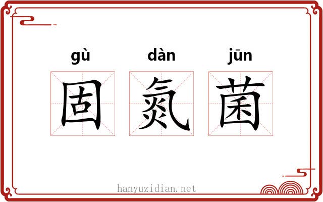 固氮菌