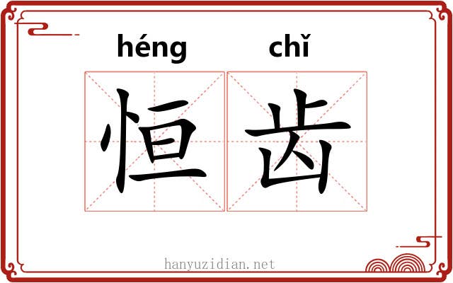 恒齿 恒齿