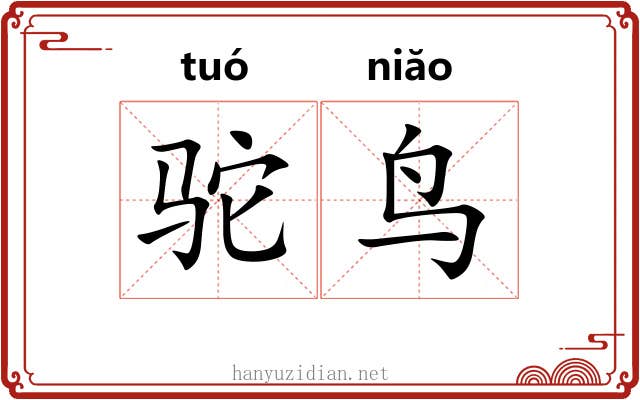 驼鸟