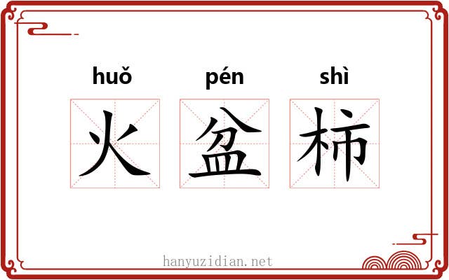 火盆柿 火盆柿