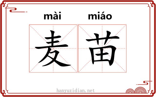麦苗