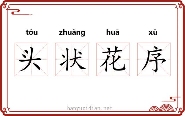 头状花序 头状花序