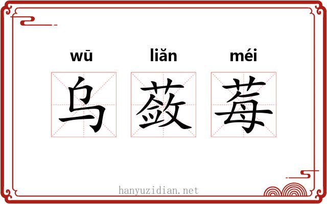 乌蔹莓