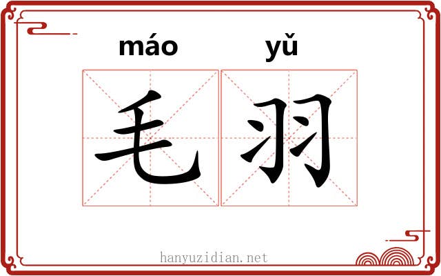 毛羽 毛羽