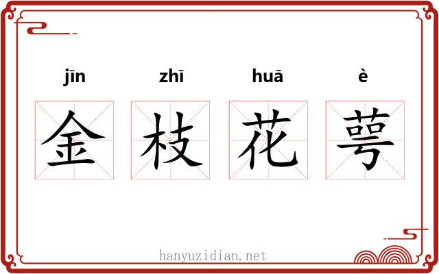 金枝花萼 金枝花萼