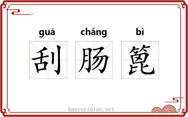 刮肠篦