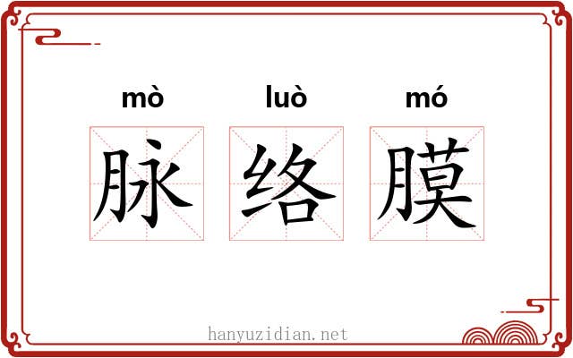 脉络膜 脉络膜