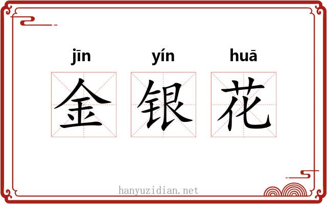 金银花 金银花