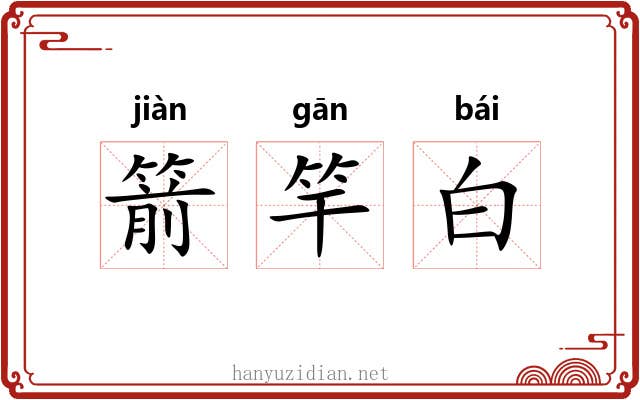 箭竿白 箭竿白