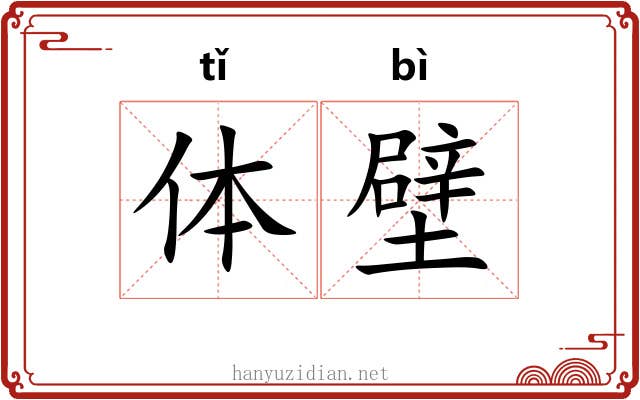 体壁 体壁