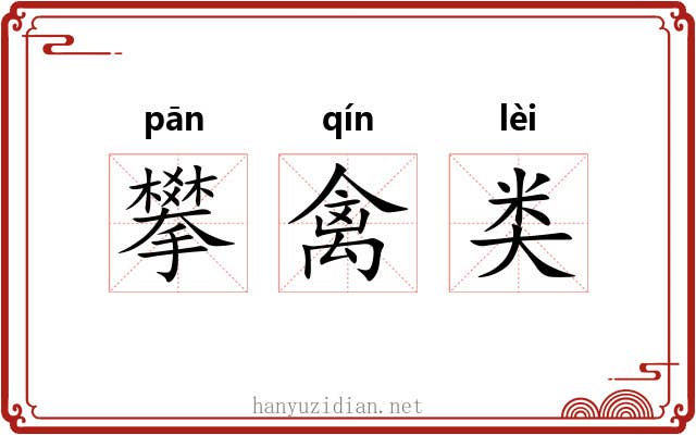 攀禽类