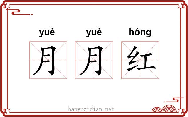月月红 月月红