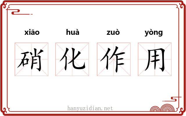 硝化作用 硝化作用