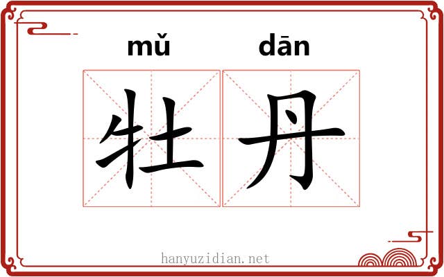 牡丹 牡丹