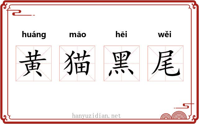 黄猫黑尾 黄猫黑尾