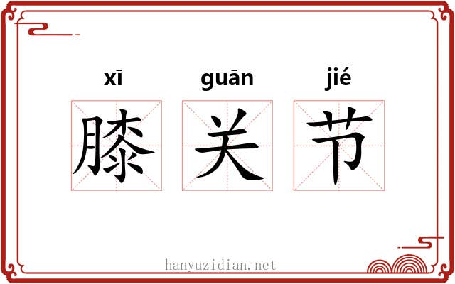 膝关节