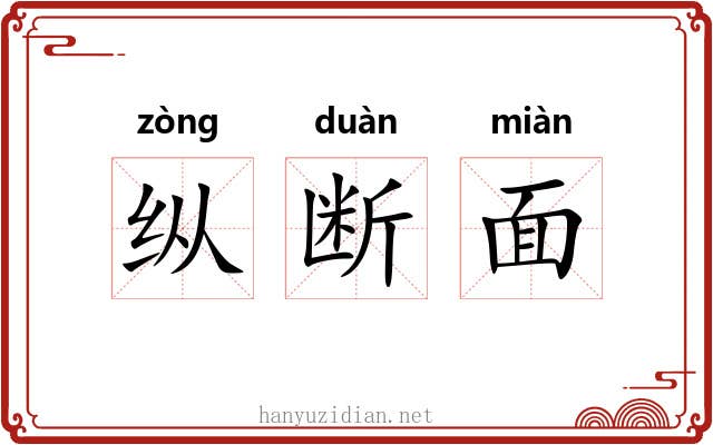 纵断面 纵断面