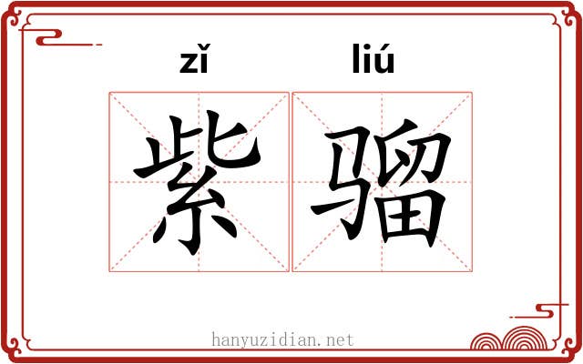 紫骝
