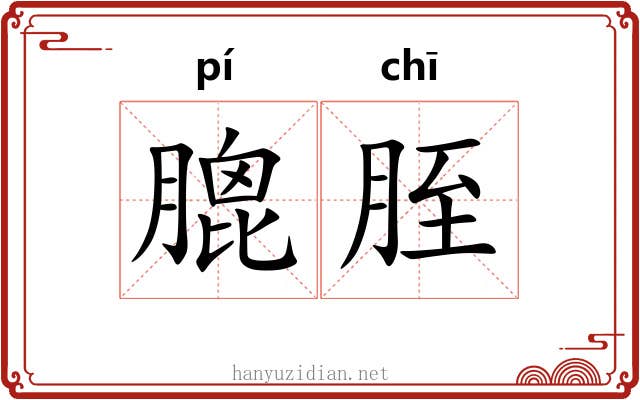 膍胵