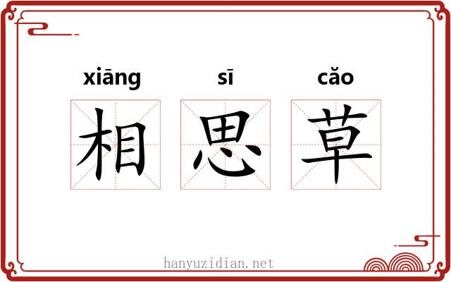 相思草