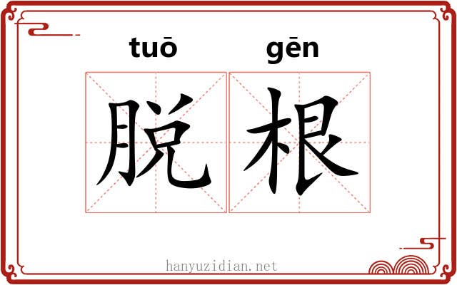 脱根 脱根