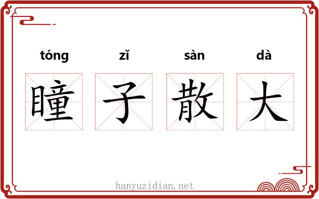 瞳子散大 瞳子散大