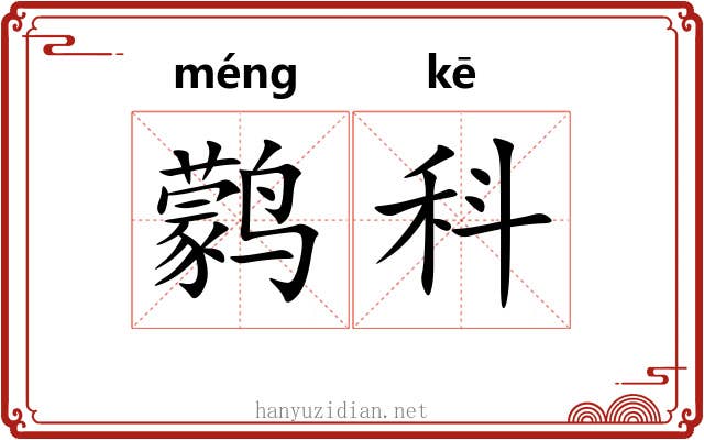 鹲科
