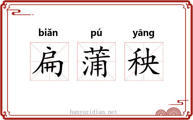 扁蒲秧 扁蒲秧