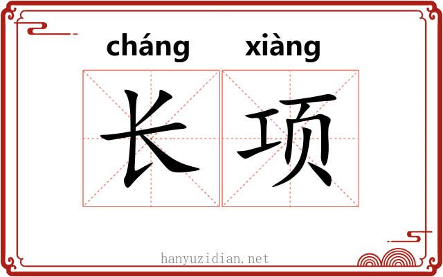 长项