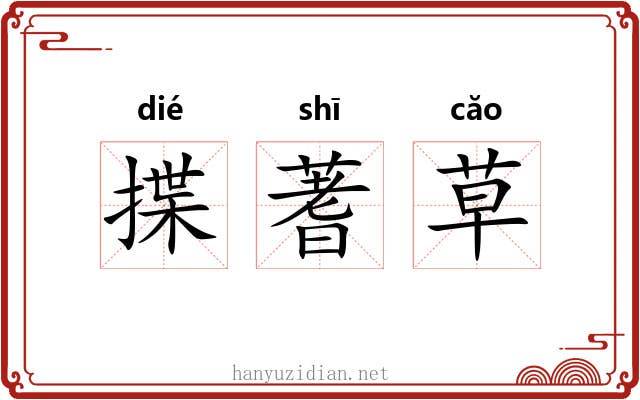 揲蓍草 揲蓍草