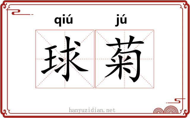 球菊