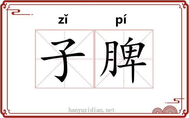 子脾