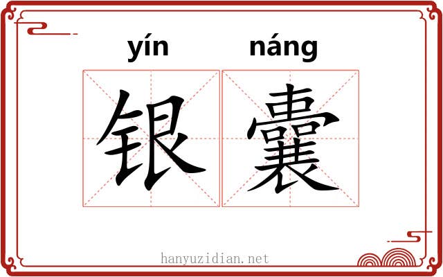 银囊 银囊