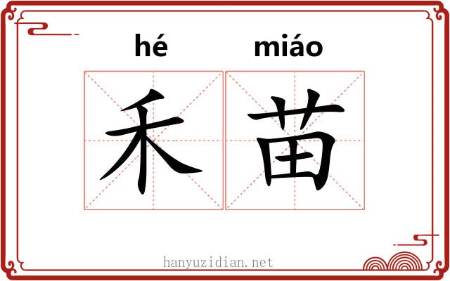 禾苗 禾苗