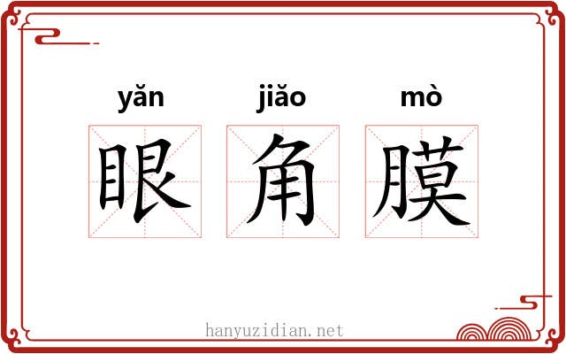 眼角膜 眼角膜