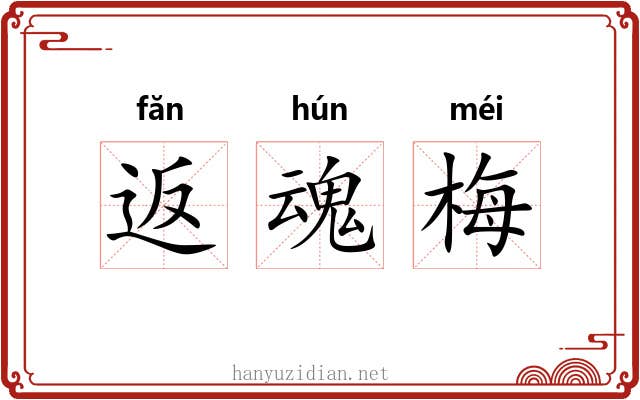 返魂梅