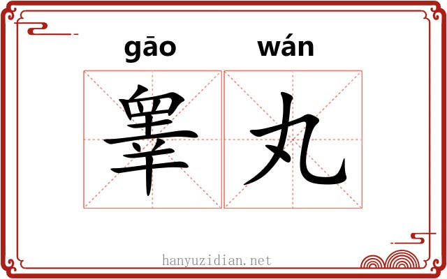 睾丸