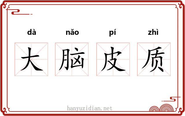 大脑皮质 大脑皮质