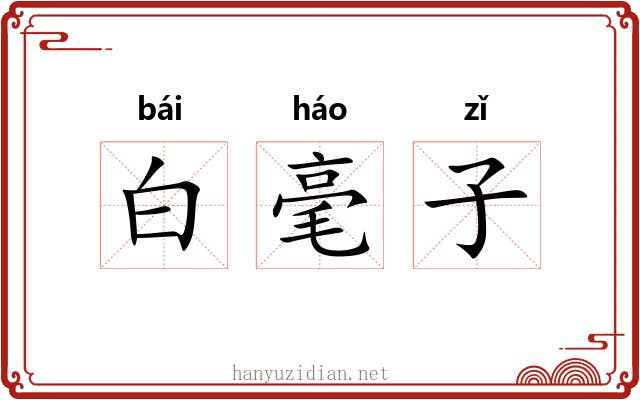 白毫子 白毫子