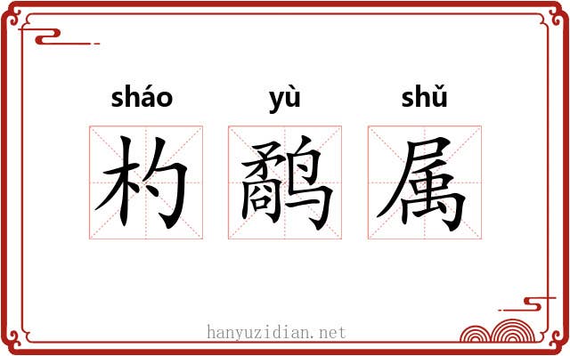 杓鹬属 杓鹬属
