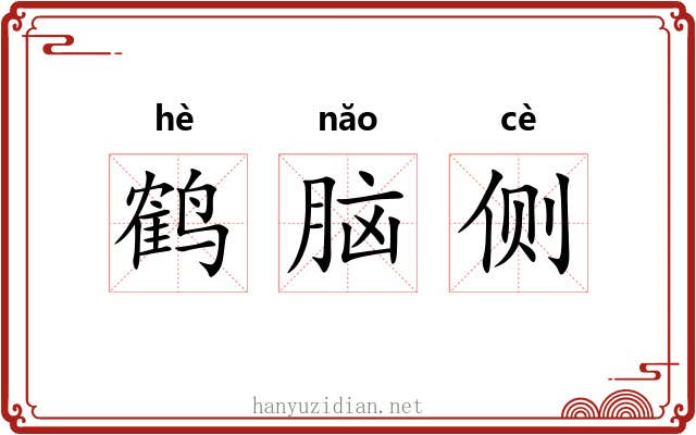 鹤脑侧 鹤脑侧
