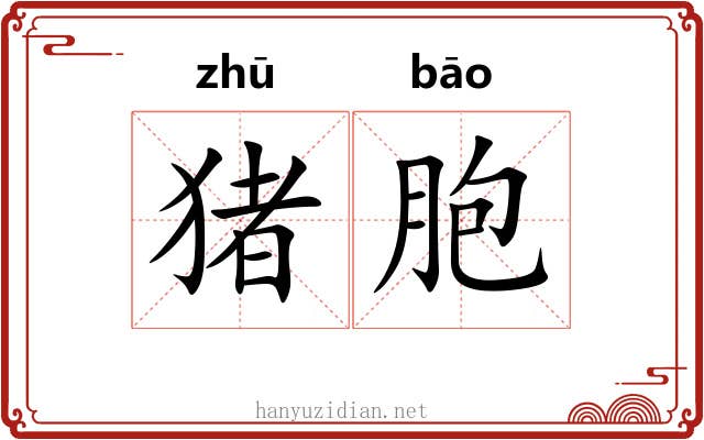 猪胞