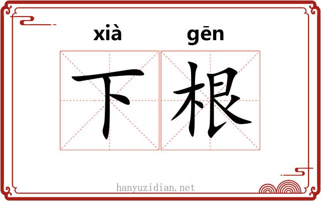 下根 下根