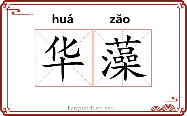 华藻 华藻