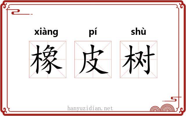 橡皮树 橡皮树