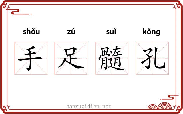 手足髓孔