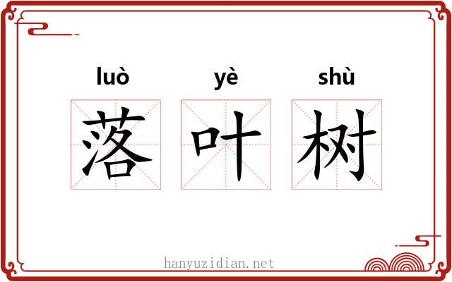 落叶树 落叶树
