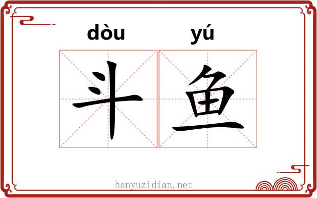 斗鱼 斗鱼