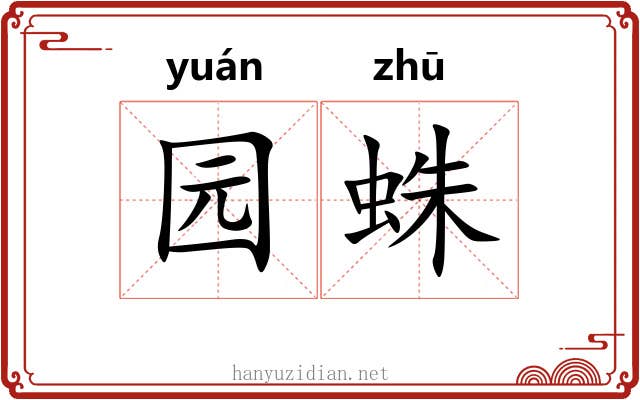园蛛